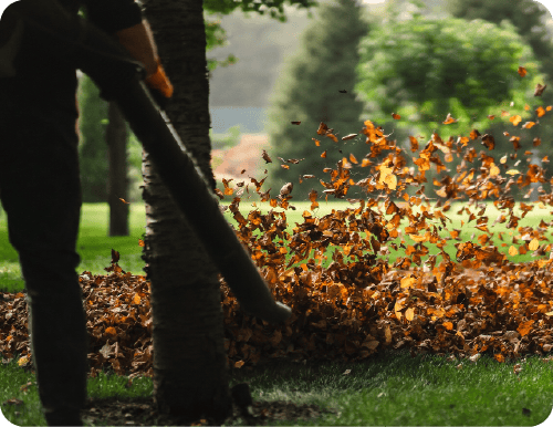Fall Cleanup Landscape Maintenance