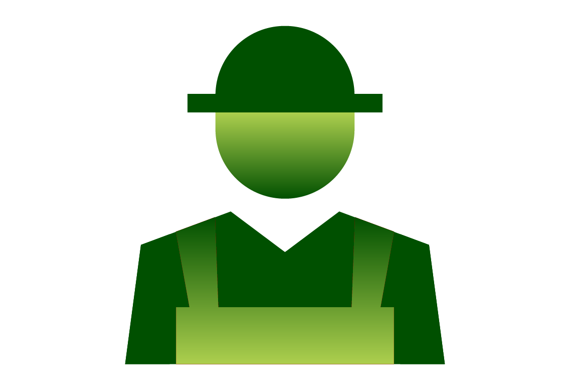 Pro Icon