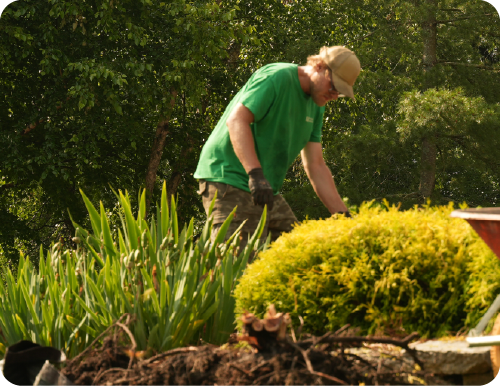 landscaping care