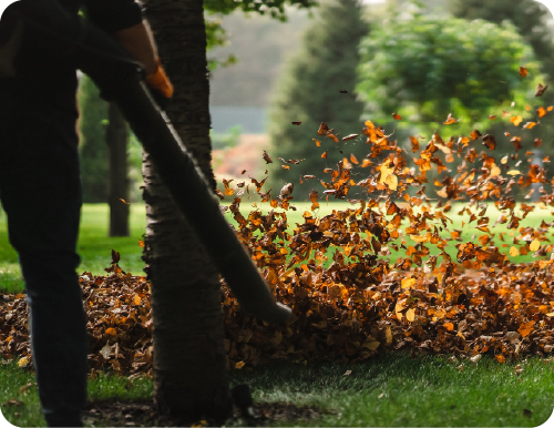 fall cleanup landscape maintenance