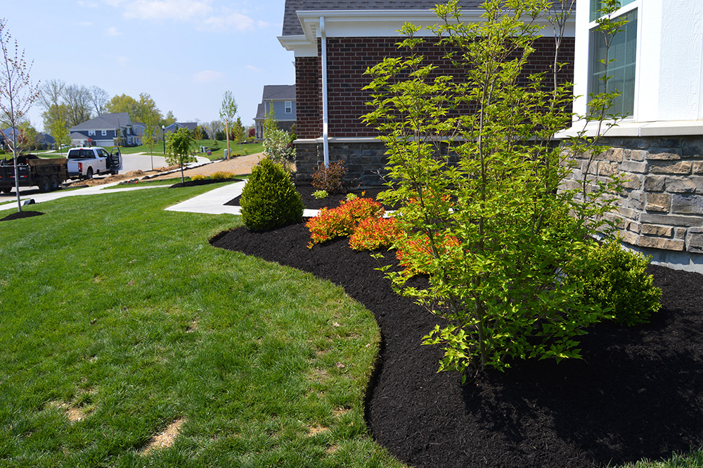 landscaping design flowerbed