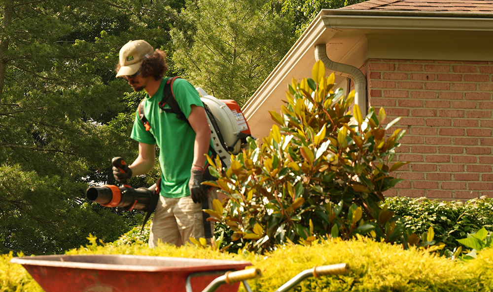 man leaf blowing lawn