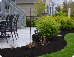outdoor spaces landscaping